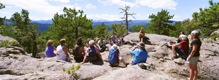 hikers stopped in the woods