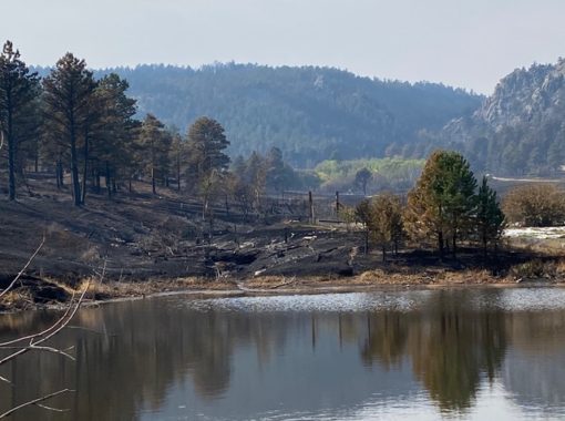 17. Looking west across Lake Shunyata