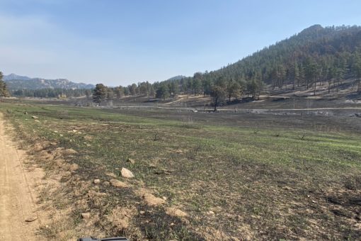 Looking southeast toward Marpa Point, with new grasses coming up in burned areas along “Rio RMDC”